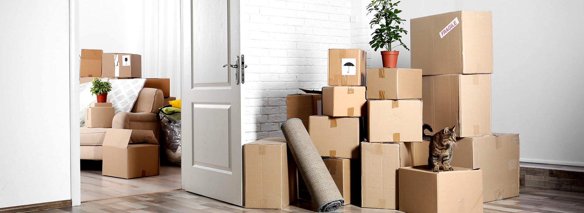R M LOGISTICS PACKERS AND MOVERS 